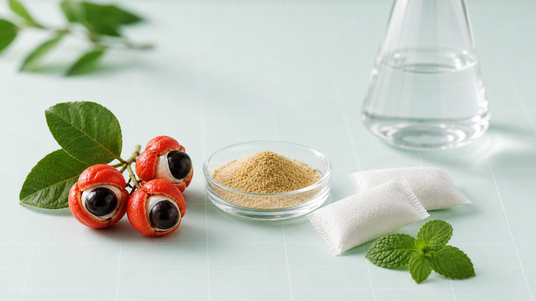 Guarana fruit, standardized guarana powder, and white caffeine pouches on a pale mint surface